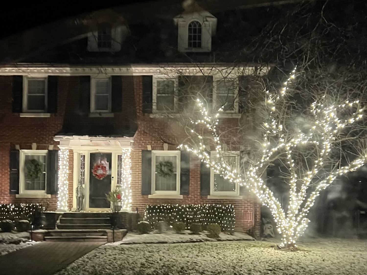Large tree wrapped out to the branch tips in warm white lights beside a brick colonial, Grosse Pointe Park