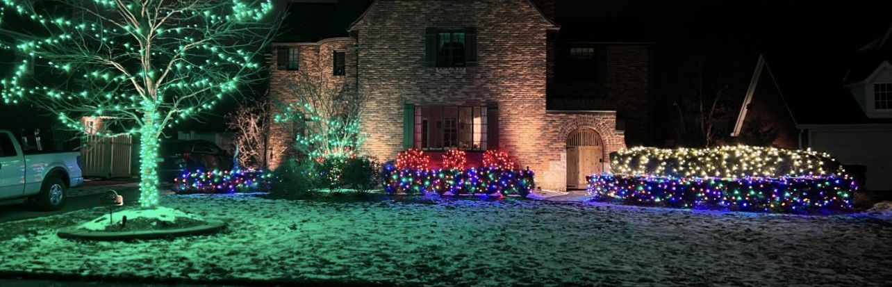Large tree wrapped in green lights above multicolor lit landscape beds